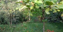 ✨ Encante-se com este imóvel completo em meio à natureza!