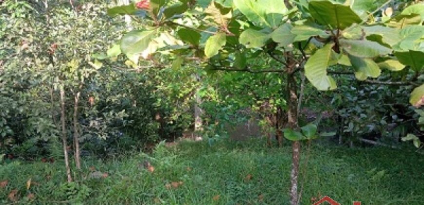 ✨ Encante-se com este imóvel completo em meio à natureza!