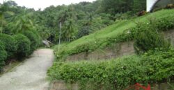 🌿🏡 Oportunidade Exclusiva para Investidores em Ibirama!