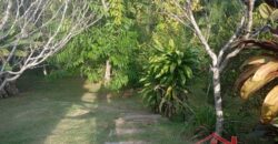 ✨ Encante-se com este imóvel completo em meio à natureza!