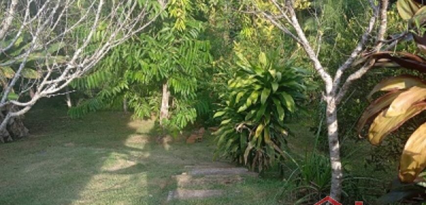 ✨ Encante-se com este imóvel completo em meio à natureza!