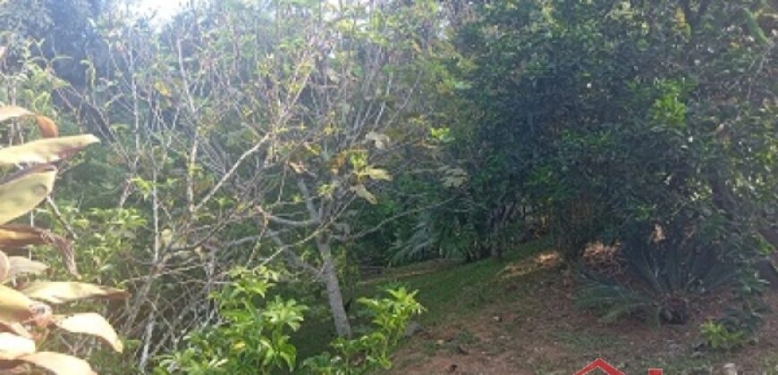 ✨ Encante-se com este imóvel completo em meio à natureza!