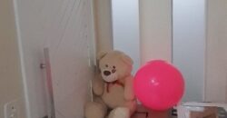 🏡✨ CASA À VENDA EM PRESIDENTE GETÚLIO! ✨🏡