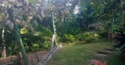 ✨ Encante-se com este imóvel completo em meio à natureza!