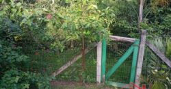 ✨ Encante-se com este imóvel completo em meio à natureza!