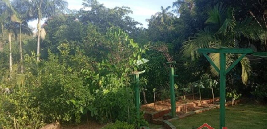 ✨ Encante-se com este imóvel completo em meio à natureza!