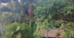 Tranquilidade, espaço e contato com a natureza