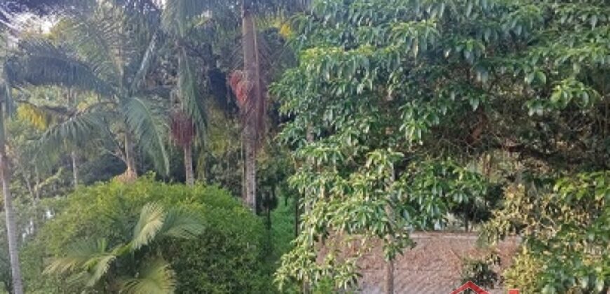 Tranquilidade, espaço e contato com a natureza