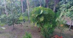 Tranquilidade, espaço e contato com a natureza