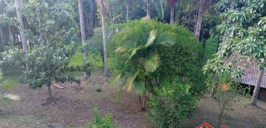 Tranquilidade, espaço e contato com a natureza