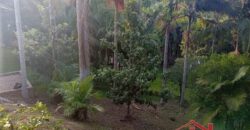 Tranquilidade, espaço e contato com a natureza