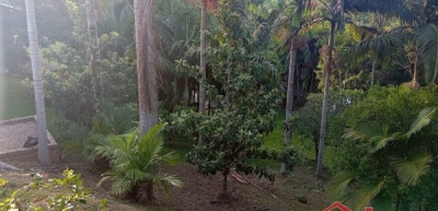 Tranquilidade, espaço e contato com a natureza