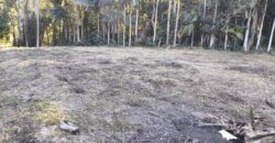 🌿 OPORTUNIDADE ÚNICA EM IBIRAMA! 🌿