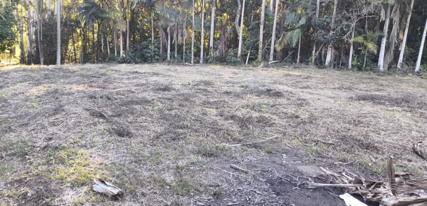 🌿 OPORTUNIDADE ÚNICA EM IBIRAMA! 🌿