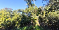 🌿 OPORTUNIDADE ÚNICA EM IBIRAMA! 🌿
