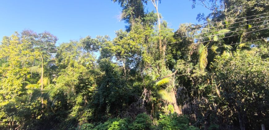 🌿 OPORTUNIDADE ÚNICA EM IBIRAMA! 🌿