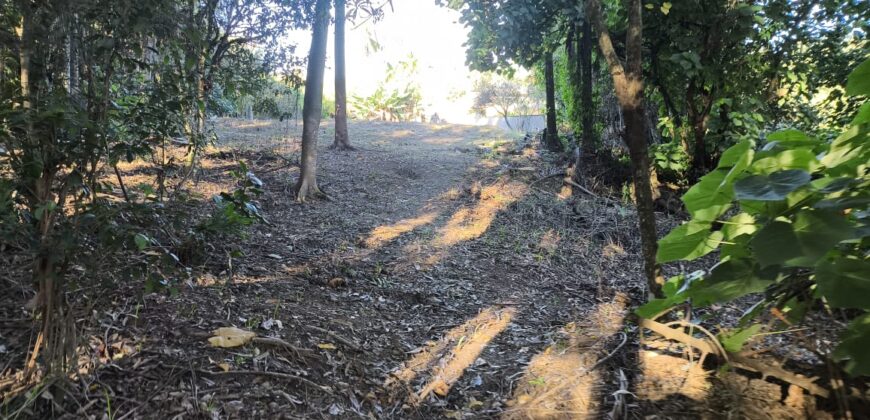 🌿 OPORTUNIDADE ÚNICA EM IBIRAMA! 🌿