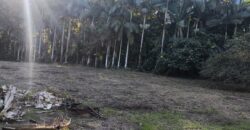 🌿 OPORTUNIDADE ÚNICA EM IBIRAMA! 🌿