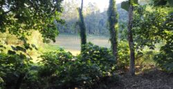 🌿 OPORTUNIDADE ÚNICA EM IBIRAMA! 🌿