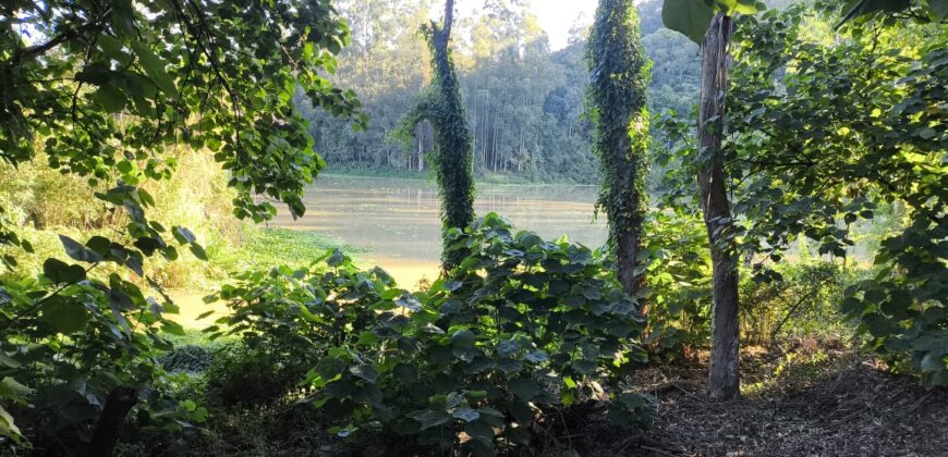 🌿 OPORTUNIDADE ÚNICA EM IBIRAMA! 🌿