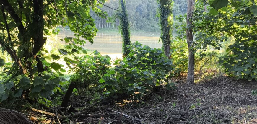 🌿 OPORTUNIDADE ÚNICA EM IBIRAMA! 🌿