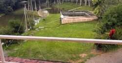 🌿 SÍTIO DE 5 HECTARES EM IBIRAMA 🌿