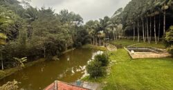 🌿 SÍTIO DE 5 HECTARES EM IBIRAMA 🌿
