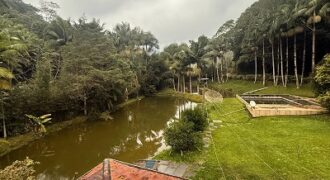 🌿 SÍTIO DE 5 HECTARES EM IBIRAMA 🌿