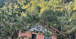 🌿 SÍTIO DE 5 HECTARES EM IBIRAMA 🌿
