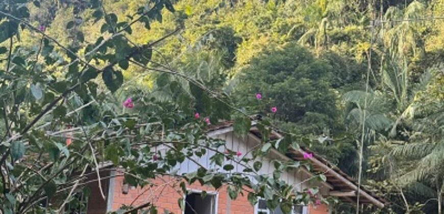 🌿 SÍTIO DE 5 HECTARES EM IBIRAMA 🌿