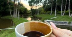 🌿 SÍTIO DE 5 HECTARES EM IBIRAMA 🌿
