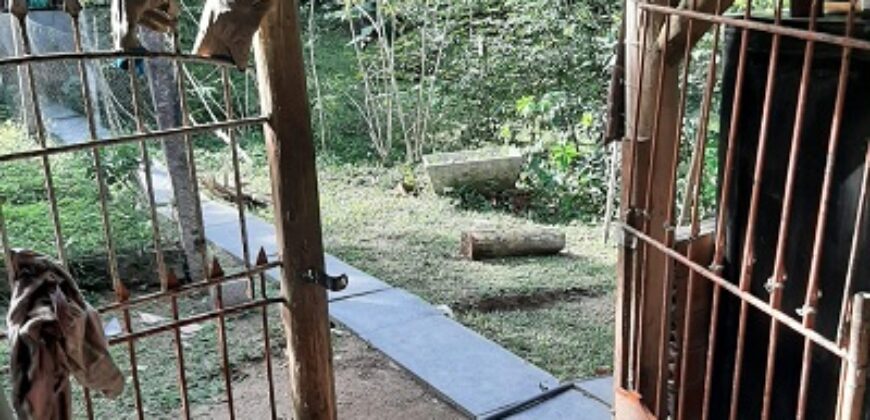 🌿 SÍTIO DE 5 HECTARES EM IBIRAMA 🌿