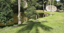 🌿 SÍTIO DE 5 HECTARES EM IBIRAMA 🌿