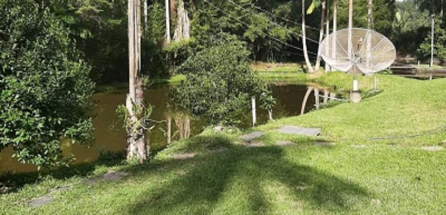 🌿 SÍTIO DE 5 HECTARES EM IBIRAMA 🌿