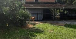 🌿 SÍTIO DE 5 HECTARES EM IBIRAMA 🌿