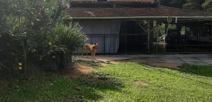 🌿 SÍTIO DE 5 HECTARES EM IBIRAMA 🌿