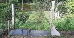 🌿 SÍTIO DE 5 HECTARES EM IBIRAMA 🌿