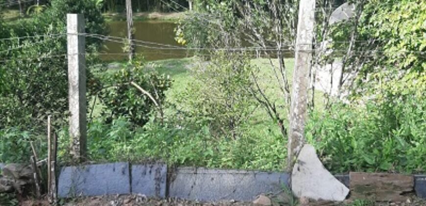 🌿 SÍTIO DE 5 HECTARES EM IBIRAMA 🌿