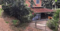 🌿 SÍTIO DE 5 HECTARES EM IBIRAMA 🌿