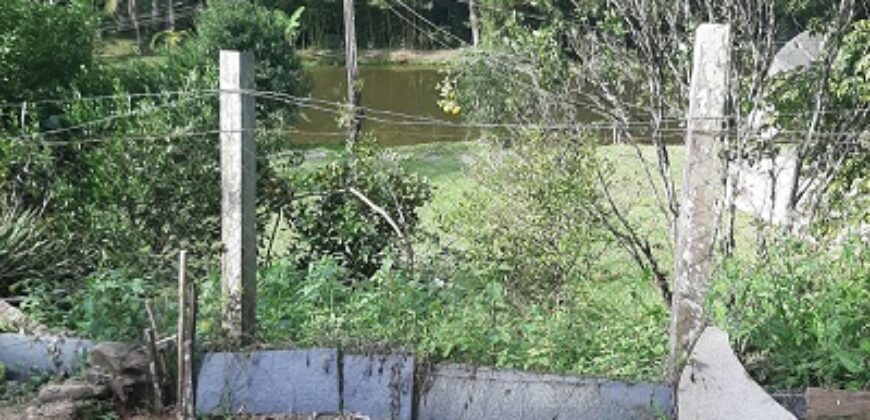 🌿 SÍTIO DE 5 HECTARES EM IBIRAMA 🌿