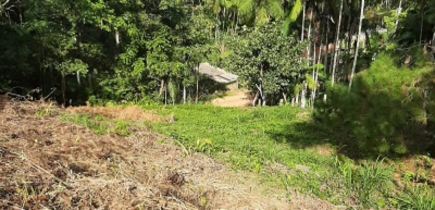 🌿 SÍTIO DE 5 HECTARES EM IBIRAMA 🌿
