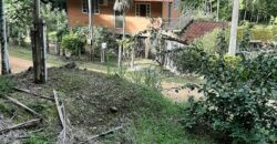 🌿 SÍTIO DE 5 HECTARES EM IBIRAMA 🌿