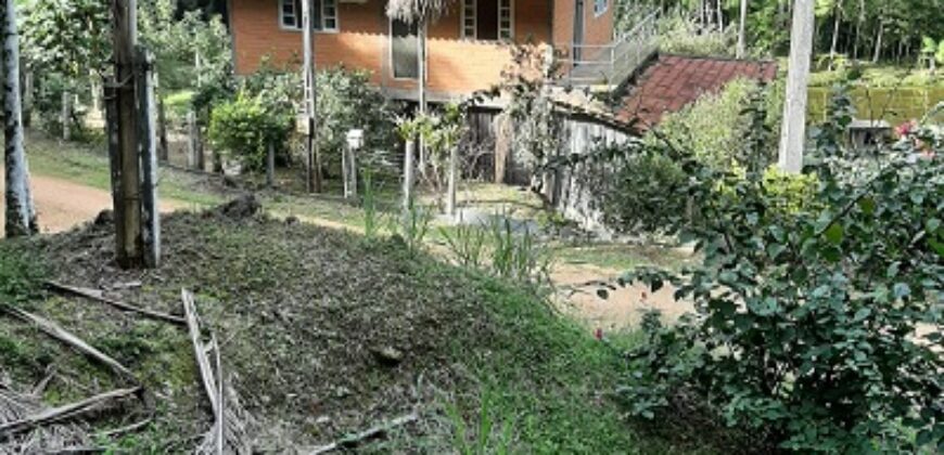 🌿 SÍTIO DE 5 HECTARES EM IBIRAMA 🌿
