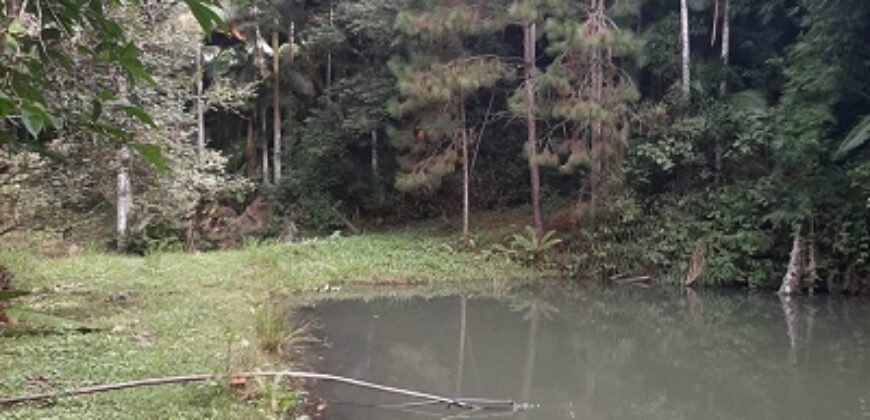 🌿 SÍTIO DE 5 HECTARES EM IBIRAMA 🌿