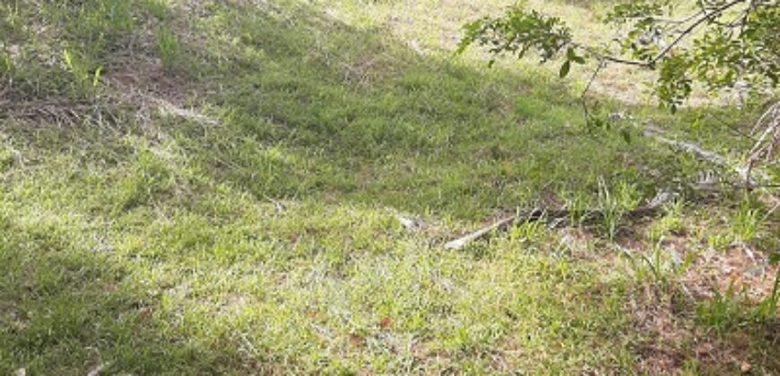 🌿 SÍTIO DE 5 HECTARES EM IBIRAMA 🌿