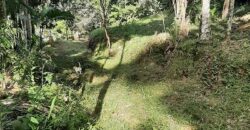 🌿 SÍTIO DE 5 HECTARES EM IBIRAMA 🌿