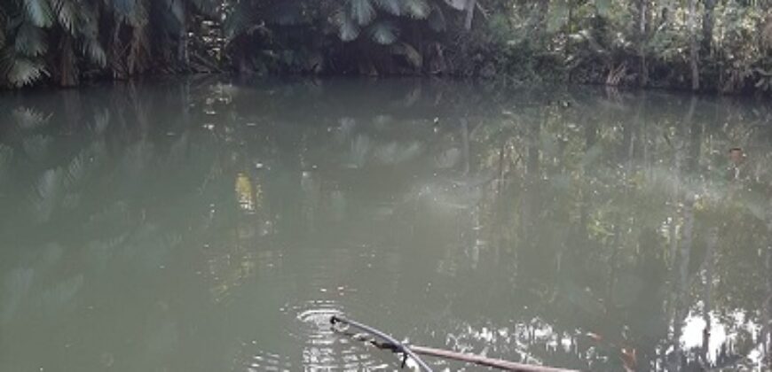 🌿 SÍTIO DE 5 HECTARES EM IBIRAMA 🌿