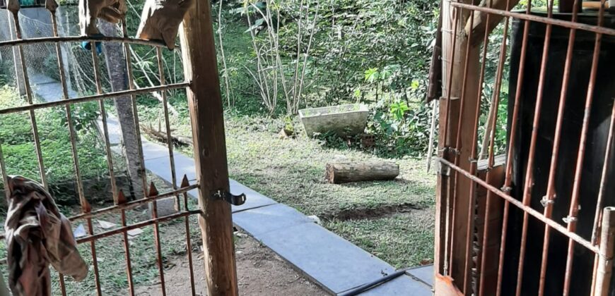 🌿 SÍTIO DE 5 HECTARES EM IBIRAMA 🌿