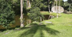 🌿 SÍTIO DE 5 HECTARES EM IBIRAMA 🌿
