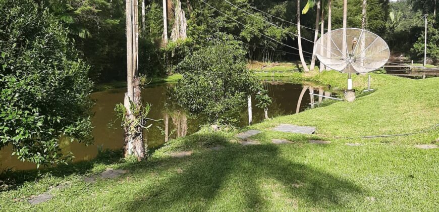 🌿 SÍTIO DE 5 HECTARES EM IBIRAMA 🌿